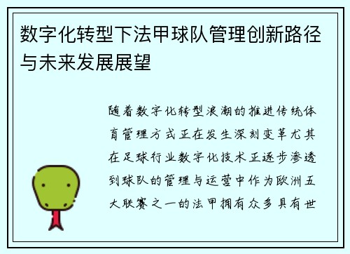 数字化转型下法甲球队管理创新路径与未来发展展望